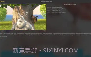 nPlayerV1.5.5.5截图
