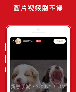 青岛小奇v1.0.10截图