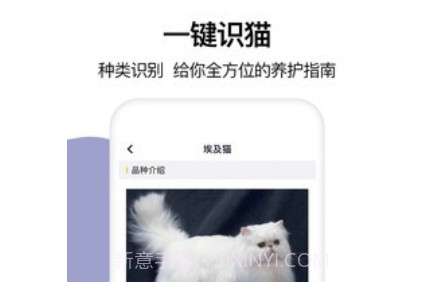 猫语翻译大全v1.13截图