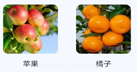 3D扫描精灵v1.9截图