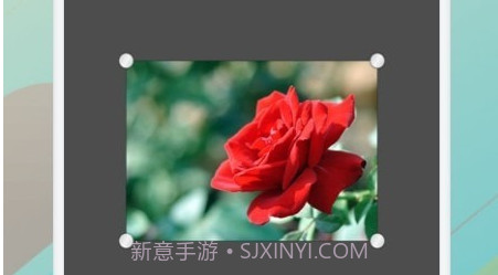 树林记忆v1.12截图