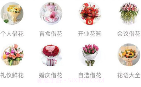 租借花卉v1.0.13截图