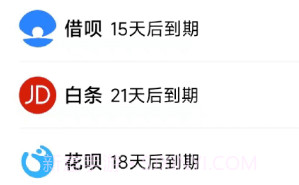 叮叮记账本v1.2.11截图