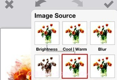PhotoViva照片编辑v2.4截图