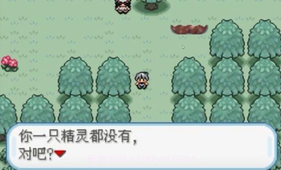 口袋妖怪火箭队v1.0.7截图