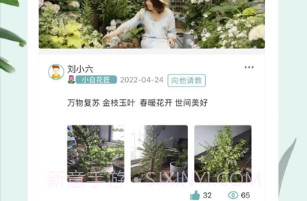 匠心物语v1.0.9截图