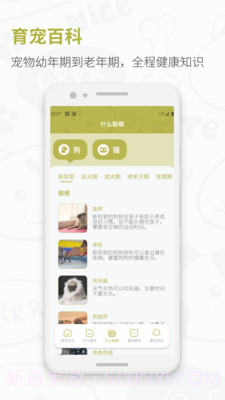 猫狗实时翻译器1.1.4截图