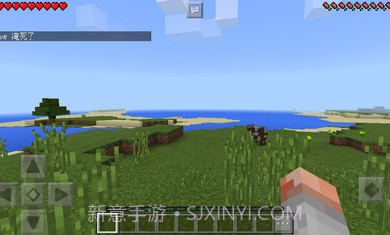 我的世界1.18.0.25国际版v1.17.41.6截图