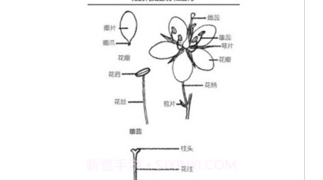 野外植物识别手册v1.0.13截图