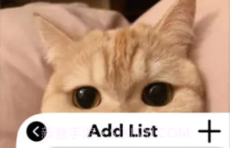 爱猫物语宠物店最新v1.0.7截图