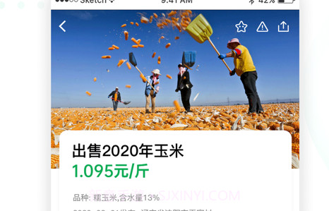 粮运帮v1.14截图