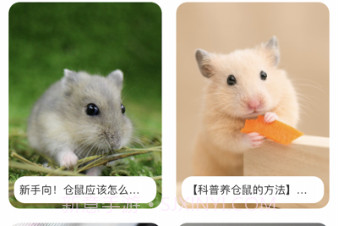 我的仓鼠日常v1.0.7截图