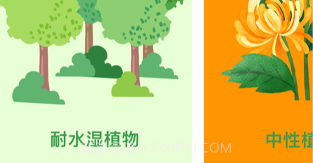 花映瑞香v1.7截图