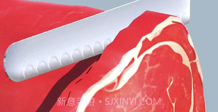 食物切切切v1.3.12截图