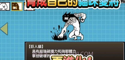 猫咪大陆v1.14.0.13截图