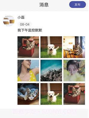 团队相册v1.0.13截图