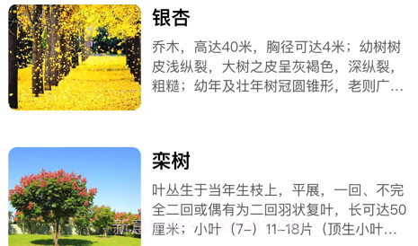 知树v1.12截图