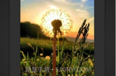Fotor Photo Editorv6.5.1.5截图