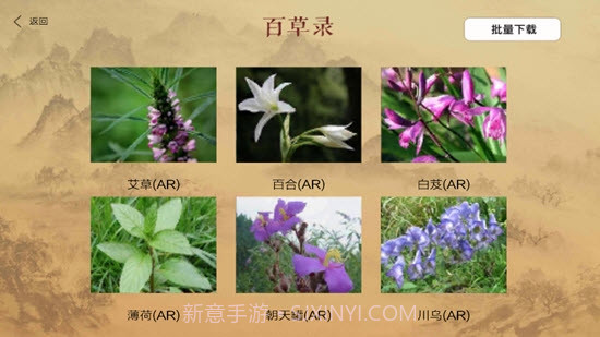 百草录1.13截图