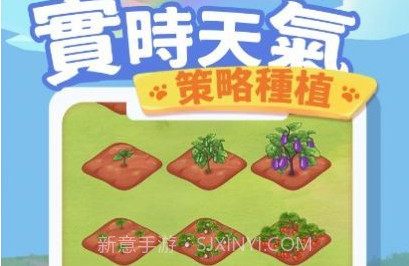 猫咪旅游记v1.0.7截图