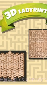 3D经典迷宫游戏1.5截图