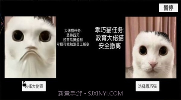 猫猫惊魂夜1.1截图