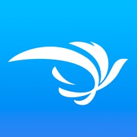飞鸟快传