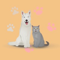 人猫狗动物翻译器最新版