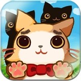 滚动猫儿 ROLL MEOW OUT