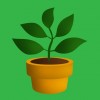 植物宝