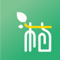 一植拍 vv1.0.10