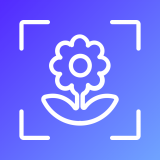 识物君 vv1.0.15