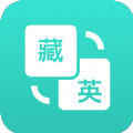多语种互译 vv2.15