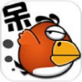 全民鸟