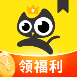飞猫