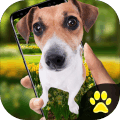手机屏幕养狗免费版