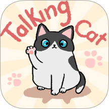 趣味找猫猫国际版