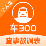 车300二手车安卓正版