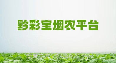 黔彩宝烟农平台v1.1.10截图