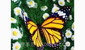 波浪动态壁纸v6.2.8截图