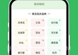 青沁睐匣子v1.0.12截图