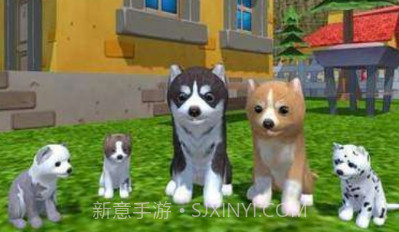 美国ZOOMDOGv1.0.0.8截图