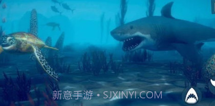 愤怒鲨鱼木筏生存v1.0.12截图