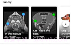 vet Anatomyv3.1.0v3.0.6截图