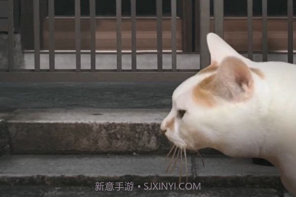 猫的一天怪奇谭（全剧情存档）完整版1.4.12截图