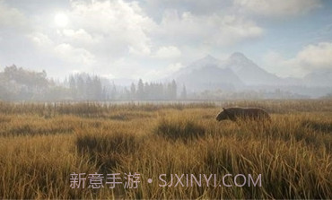 猎人：荒野的召唤正版v1.10截图