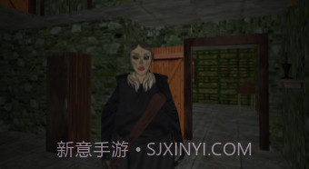 祖传房子的可怕奶奶v1.11截图