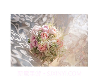富士打印机(fujifilm print)v5.07.11截图
