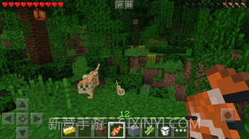 我的世界国际版（Minecraft）v2.5.5.5截图