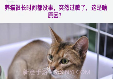 善行萌宠缘v1.6截图